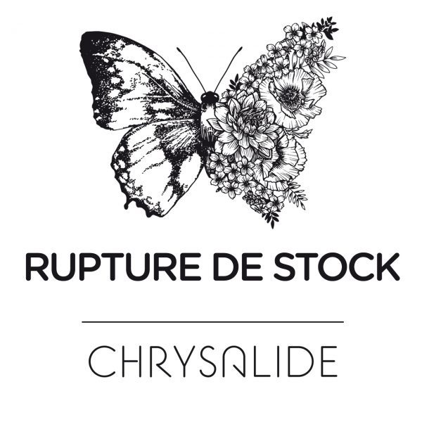 logo chrysalide pour rupture de stock